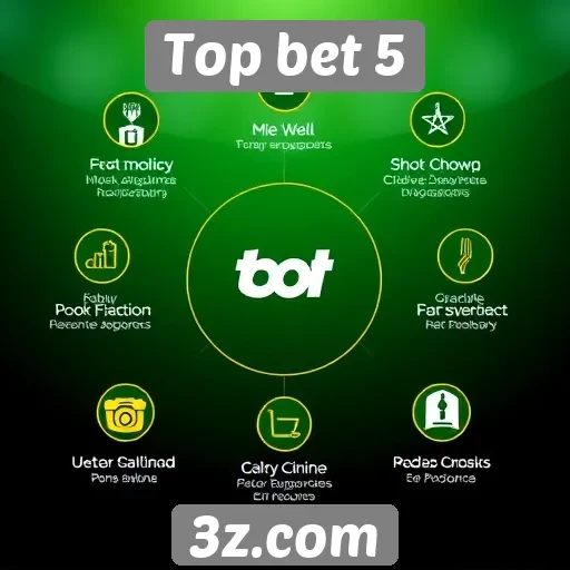 Avaliação das funcionalidades do site Top bet 5